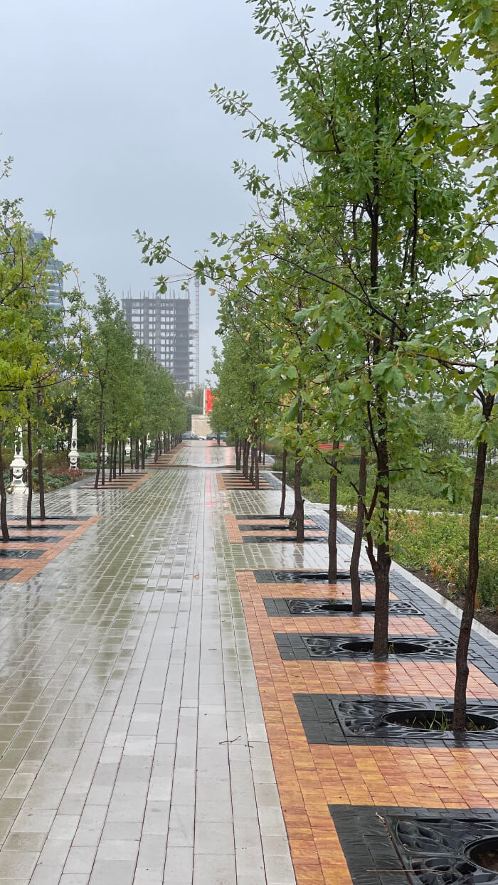 Приствольная решетка для дерева ZKING CRUST 1.2х1.2м Черная в Ульяновске фото