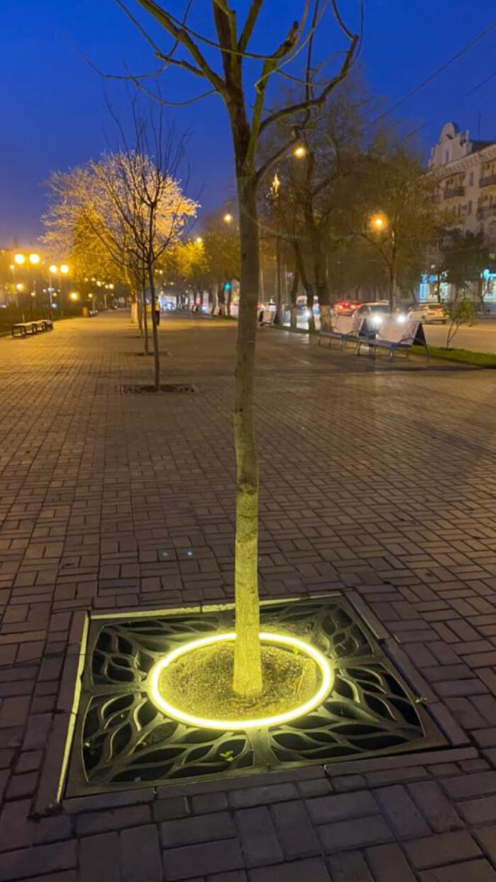 Приствольная решетка для дерева ZKING CRUST 1.2х1.2м Черная в Ульяновске фото